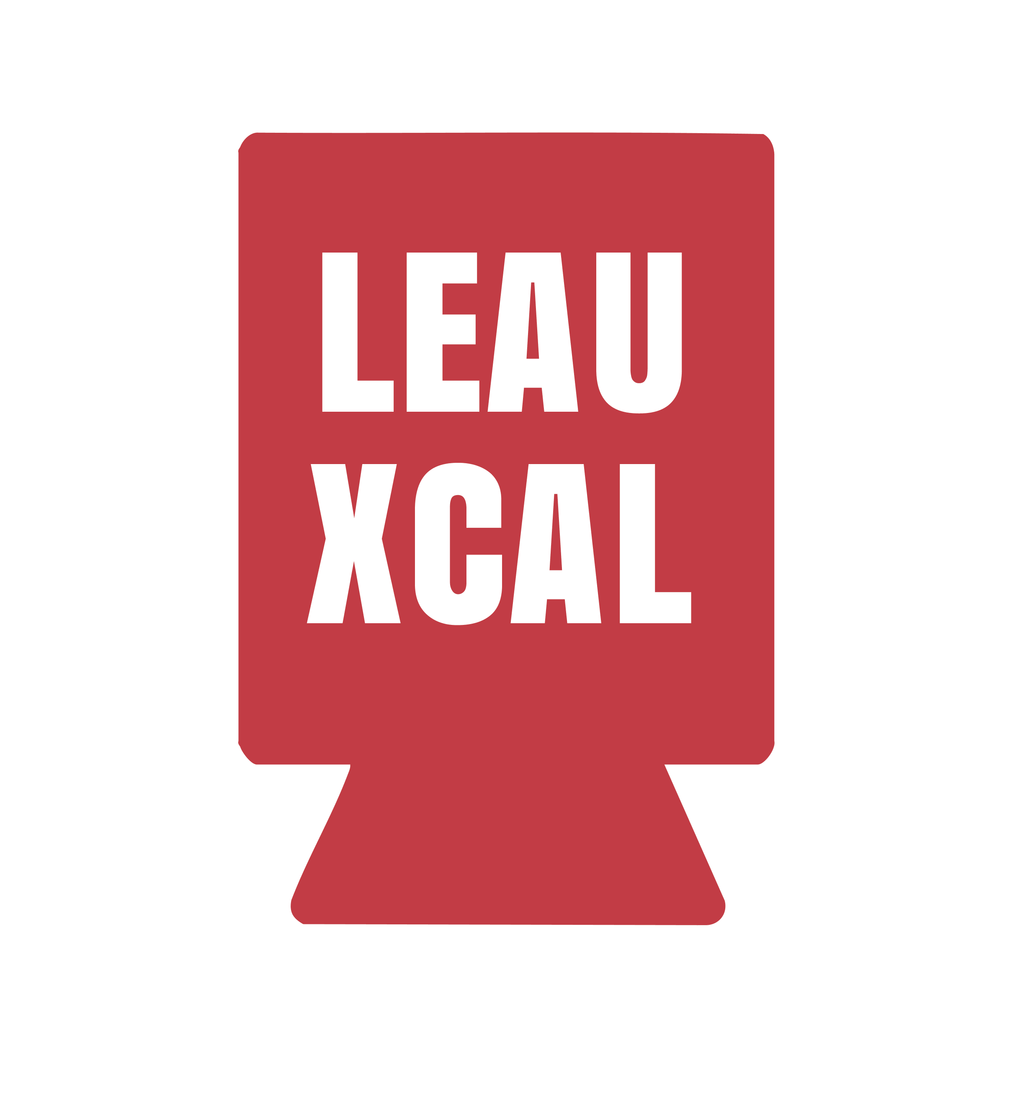 Leauxcal - Shirt of the Month